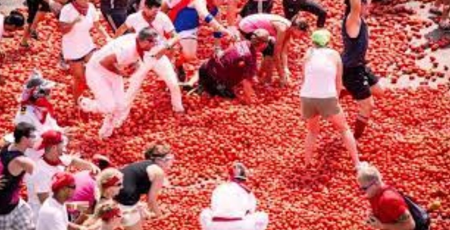 Roaring “Tomato” Festival