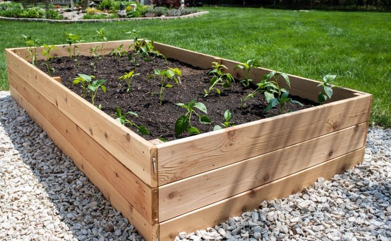 How to build a raised Garden Bed