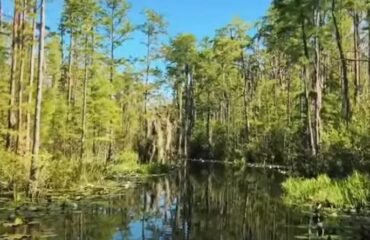 Okefenokee Swamp mining debate