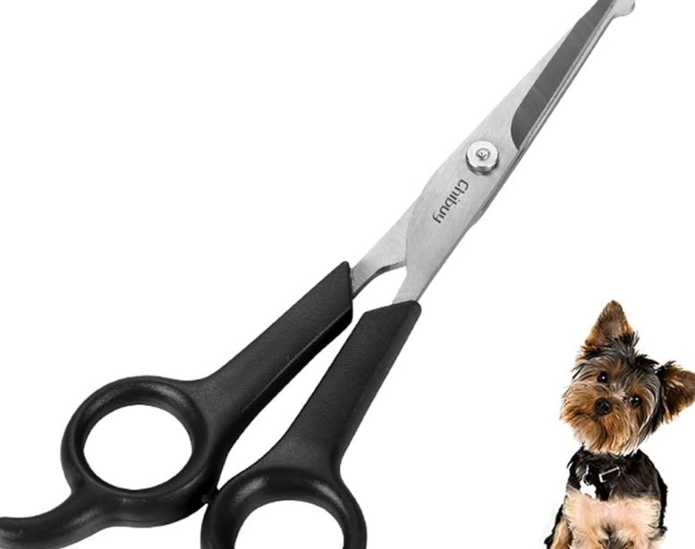 Dog grooming scissors