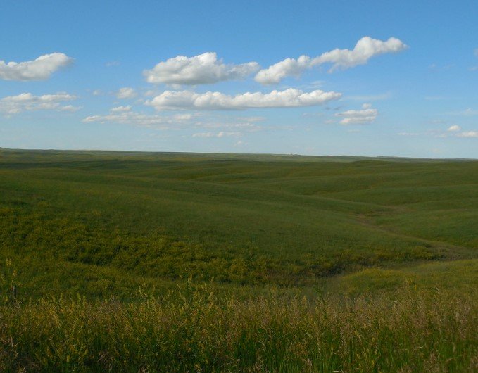 south dakota grassland