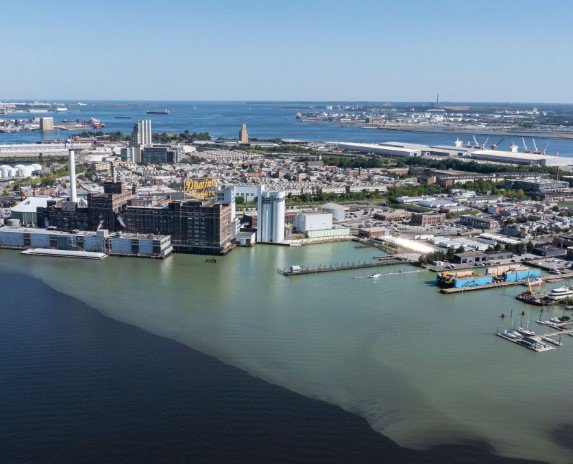 algae blooms fish kill Baltimore Inner Harbor