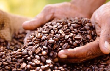 First Coffee Raises $1.2 Million in Seed Round Led by BEENEXT