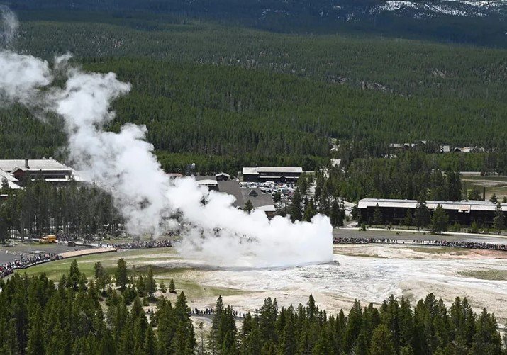 yellowstone conservation organization