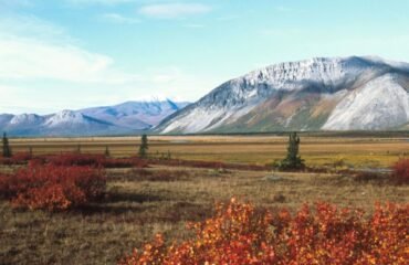 judge faults environmental analysis donlin gold mine western alaska