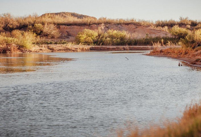 rio-grande-restoration-efforts