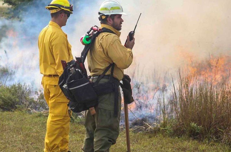 Federal wildland firefighter pay rates