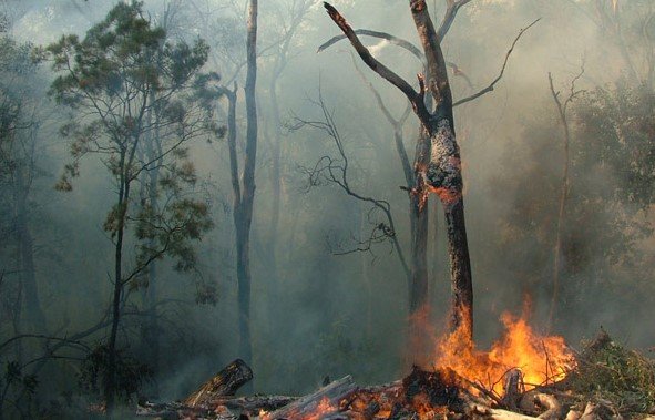 Sunbelt climate hazards