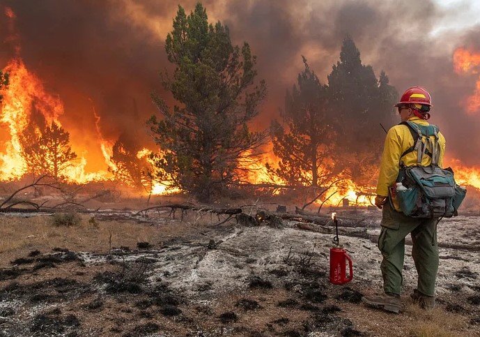 mexico disaster response fires floods