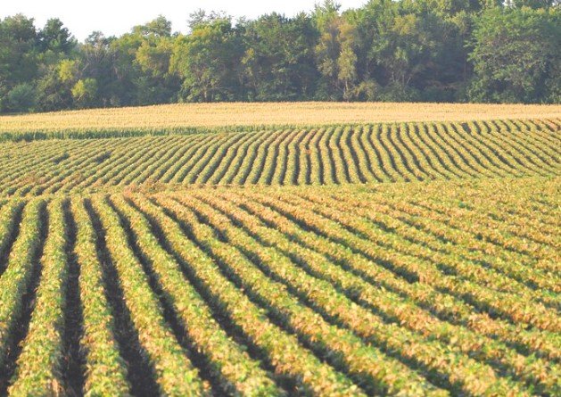 soybean planting Iowa early crop emissions