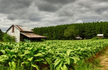 Maryland tobacco tax increase