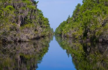 Okefenokee National Wildlife Refuge